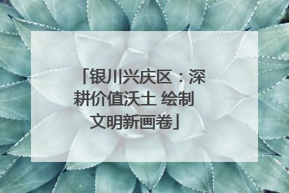银川兴庆区：深耕价值沃土 绘制文明新画卷