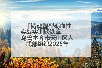 铸魂塑型砺血性 实战实训锻铁拳——乌鲁木齐市天山区人武部组织2025年度民兵集中轮训