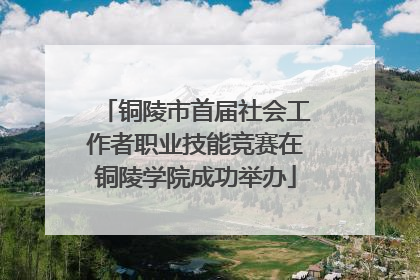 铜陵市首届社会工作者职业技能竞赛在铜陵学院成功举办