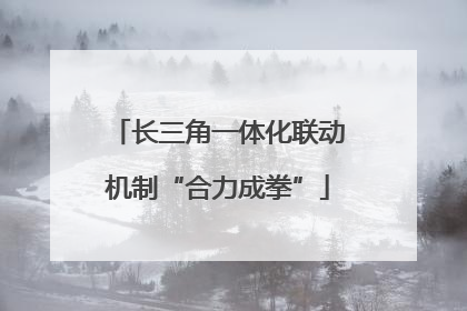 长三角一体化联动机制“合力成拳”