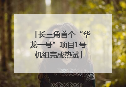 长三角首个“华龙一号”项目1号机组完成热试