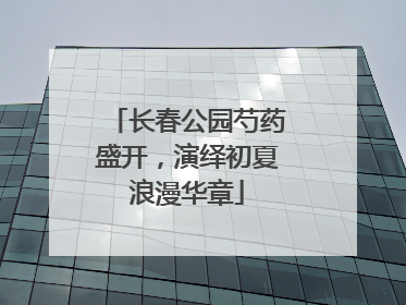 长春公园芍药盛开，演绎初夏浪漫华章