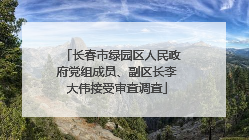 长春市绿园区人民政府党组成员、副区长李大伟接受审查调查