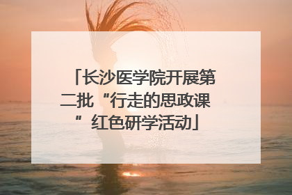 长沙医学院开展第二批“行走的思政课”红色研学活动