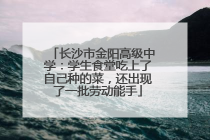 长沙市金阳高级中学：学生食堂吃上了自己种的菜，还出现了一批劳动能手