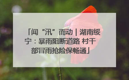 闻“汛”而动｜湖南绥宁：暴雨阻断道路 村干部冒雨抢险保畅通
