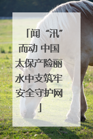 闻“汛”而动 中国太保产险丽水中支筑牢安全守护网