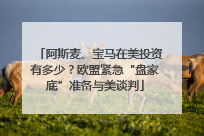阿斯麦、宝马在美投资有多少？欧盟紧急“盘家底”准备与美谈判