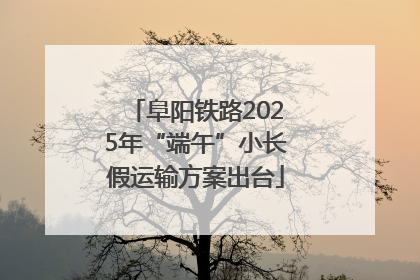 阜阳铁路2025年“端午”小长假运输方案出台