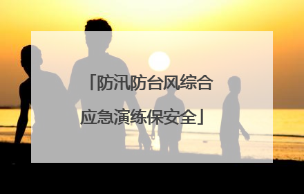 防汛防台风综合应急演练保安全