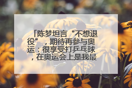 陈梦坦言“不想退役”，期待再参与奥运：很享受打乒乓球，在奥运会上是我最幸福的时候