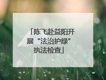 陈飞赴益阳开展“法治护绿”执法检查