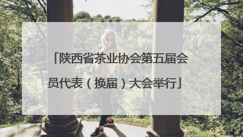 陕西省茶业协会第五届会员代表（换届）大会举行