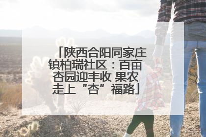 陕西合阳同家庄镇柏瑞社区：百亩杏园迎丰收 果农走上“杏”福路
