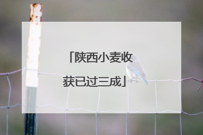 陕西小麦收获已过三成