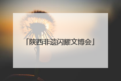 陕西非遗闪耀文博会