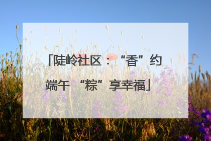 陡岭社区：“香”约端午 “粽”享幸福