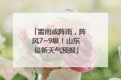 雷雨或阵雨，阵风7~9级！山东最新天气预报