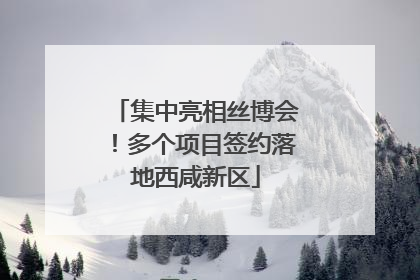 集中亮相丝博会！多个项目签约落地西咸新区