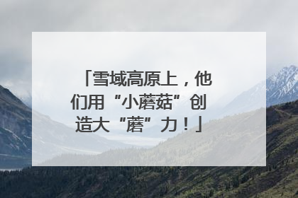 雪域高原上，他们用“小蘑菇”创造大“蘑”力！