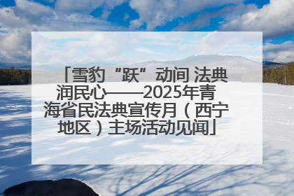 雪豹“跃”动间 法典润民心——2025年青海省民法典宣传月（西宁地区）主场活动见闻