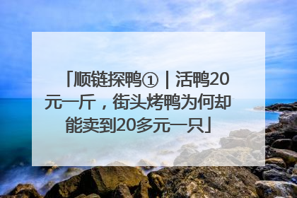 顺链探鸭①｜活鸭20元一斤，街头烤鸭为何却能卖到20多元一只