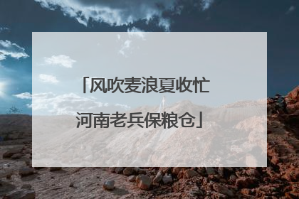 风吹麦浪夏收忙 河南老兵保粮仓