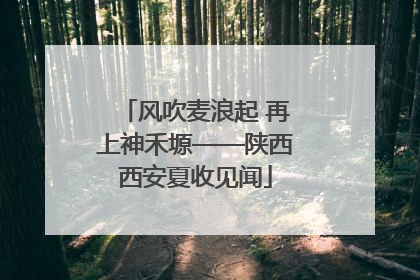 风吹麦浪起 再上神禾塬——陕西西安夏收见闻