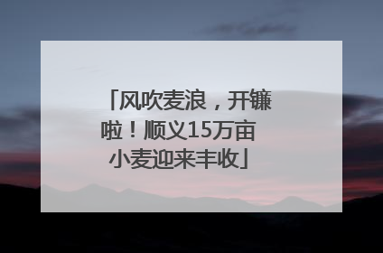 风吹麦浪，开镰啦！顺义15万亩小麦迎来丰收