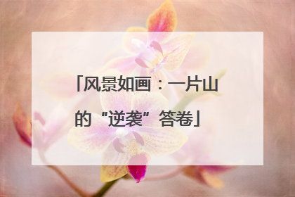 风景如画:一片山的“逆袭”答卷
