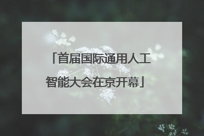 首届国际通用人工智能大会在京开幕