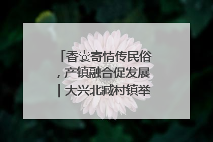 香囊寄情传民俗，产镇融合促发展｜大兴北臧村镇举办端午主题活动