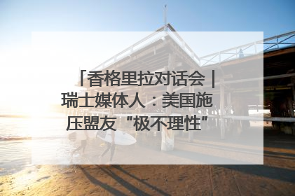 香格里拉对话会｜瑞士媒体人：美国施压盟友“极不理性” 欧洲国家无意与中国“脱钩断链”
