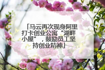 马云再次现身阿里打卡创业公寓“湖畔小屋”，鼓励员工坚持创业精神