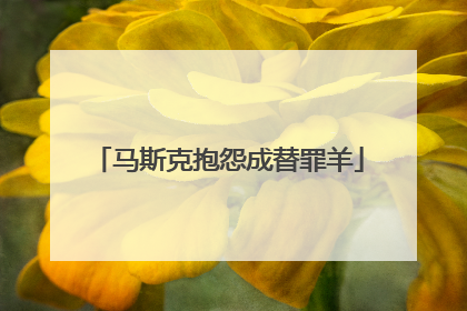 马斯克抱怨成替罪羊