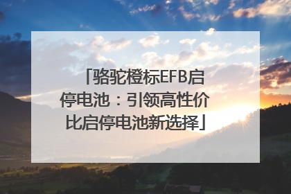 骆驼橙标EFB启停电池：引领高性价比启停电池新选择