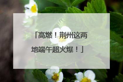 高燃！荆州这两地端午超火爆！