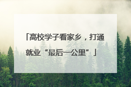 高校学子看家乡，打通就业“最后一公里”