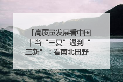 高质量发展看中国｜当“三夏”遇到“三新”：看南北田野里的科技共生记