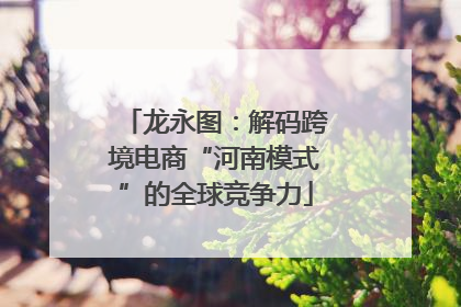 龙永图：解码跨境电商“河南模式”的全球竞争力