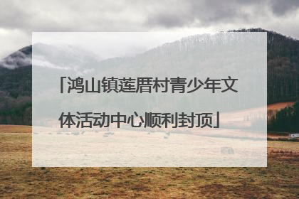 鸿山镇莲厝村青少年文体活动中心顺利封顶