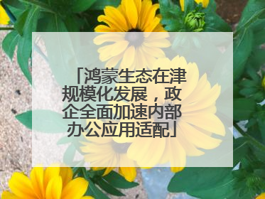 鸿蒙生态在津规模化发展，政企全面加速内部办公应用适配
