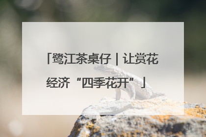 鹭江茶桌仔｜让赏花经济“四季花开”