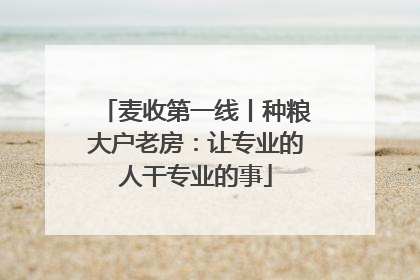 麦收第一线丨种粮大户老房：让专业的人干专业的事