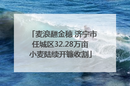 麦浪翻金穗 济宁市任城区32.28万亩小麦陆续开镰收割