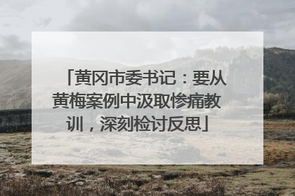 黄冈市委书记：要从黄梅案例中汲取惨痛教训，深刻检讨反思