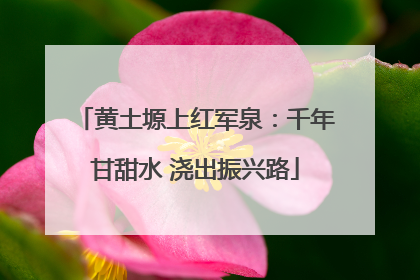 黄土塬上红军泉：千年甘甜水 浇出振兴路