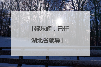 黎东辉，已任湖北省领导