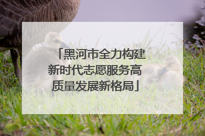 黑河市全力构建新时代志愿服务高质量发展新格局