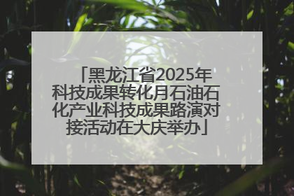 黑龙江省2025年科技成果转化月石油石化产业科技成果路演对接活动在大庆举办
